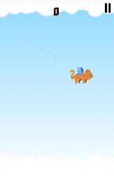Pixel Cat Can't Fly poster 12