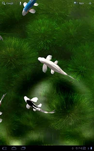 Koi Live Wallpaper(圖5)-速報App