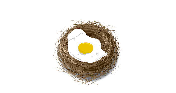 9. What is in the Nest?