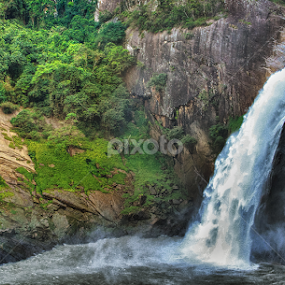 Dunhinda waterfall  by Ganidu Balasuriya - Nature Up Close Water