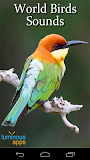 World Birds Sounds Complete