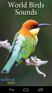 World Birds Sounds Complete(圖1)-速報App
