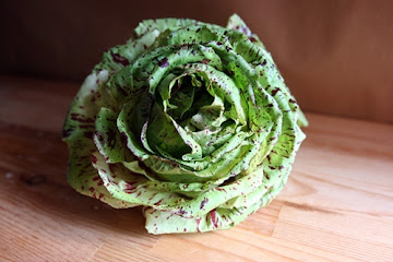 Wilted Radicchio with Shallots