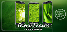 Green Leaves Live Wallpaper APK