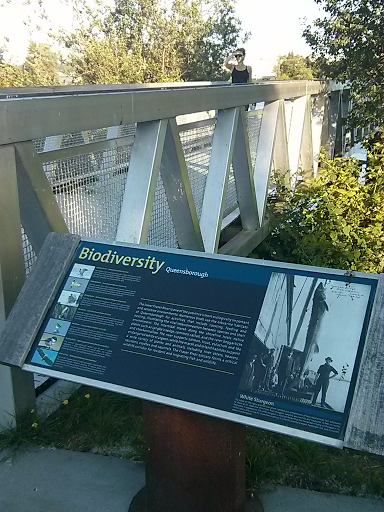 Biodiversity Sign.