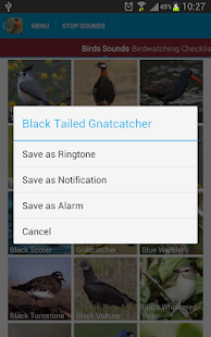 North American Birds Free(圖7)-速報App