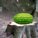 Exploding Watermelon LWP
