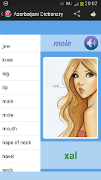 Azerbaijani Dictionary by gamefibo poster 6