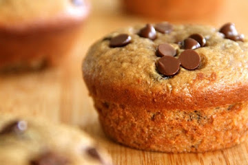 Flourless Chocolate Chip Almond Butter Muffins