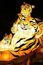 Lantern Fair Puzzle poster 4