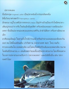 Aquarium Trang Screenshots 4