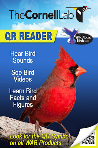 BIRD QR