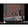 funny ad (funny) Download on Windows