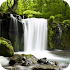 Relax Forest ~ Nature Sounds4.4.0