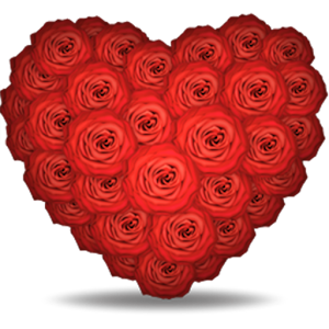 Flower Messenger 1.3.0