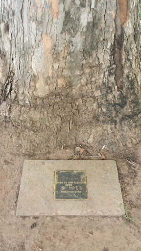Remembrance Plaque of Daryl Robert Green