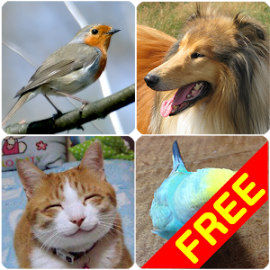 Animal Sounds (Bird,Dog,Cat) 1.2