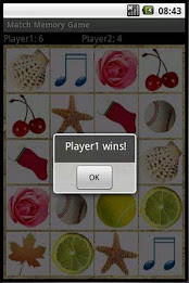 Match Memory poster 5