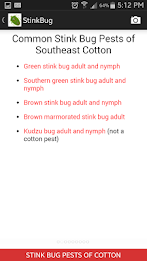 Stink Bug Decision Aid poster 3