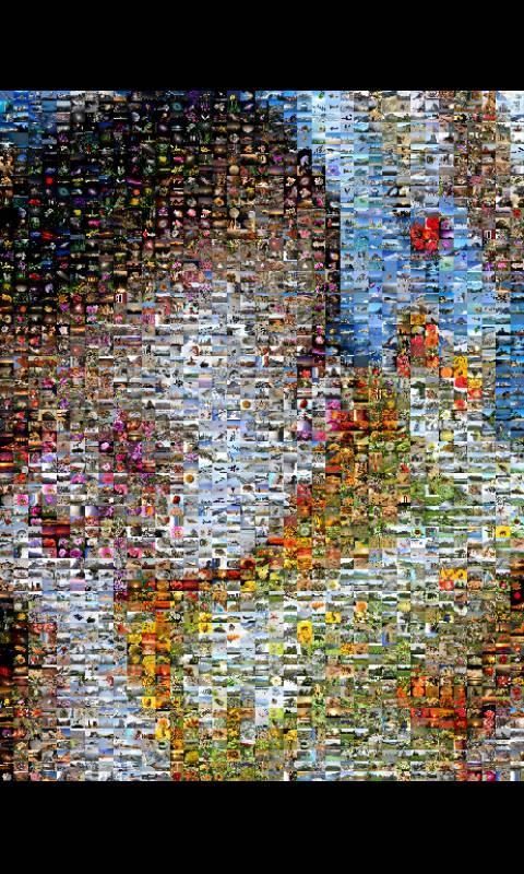 ZaBa Photo Mosaic Screen 2