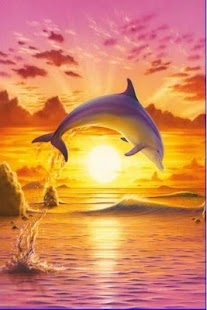 Dolphin Wallpaper 3D FREE Screenshots 9