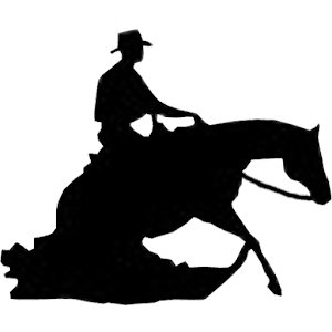 Reining Patterns (NRHA) logo