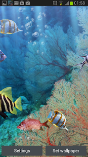真正的水族馆HD(圖4)-速報App