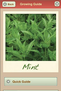 Grow Organic Herbs FREE(圖5)-速報App