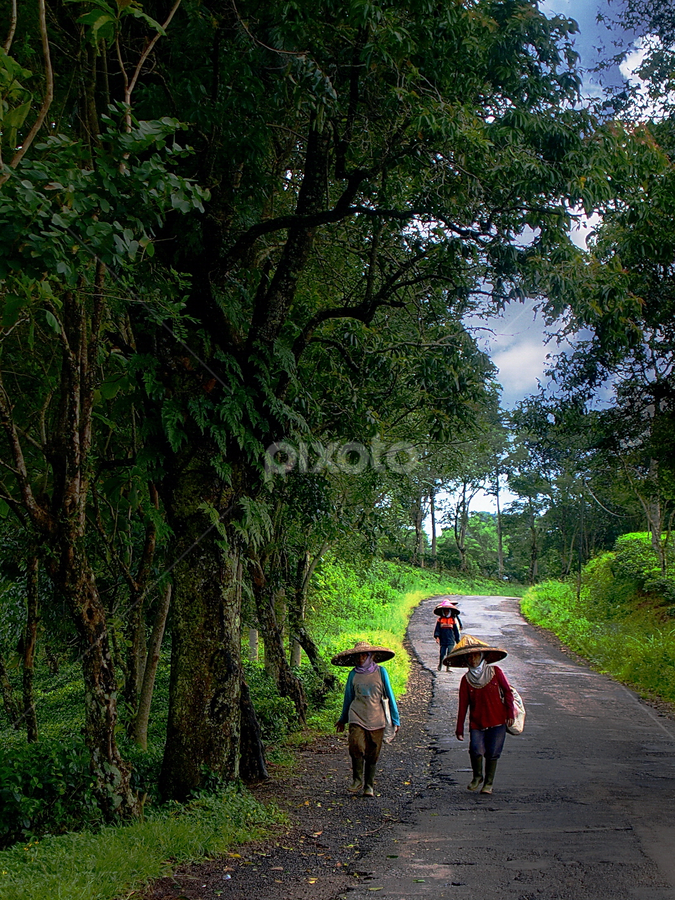 by A Friyana Wiradikarta - People Street & Candids