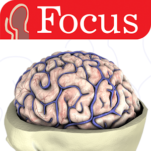 NEUROANATOMY - Digital Atlas 1.3