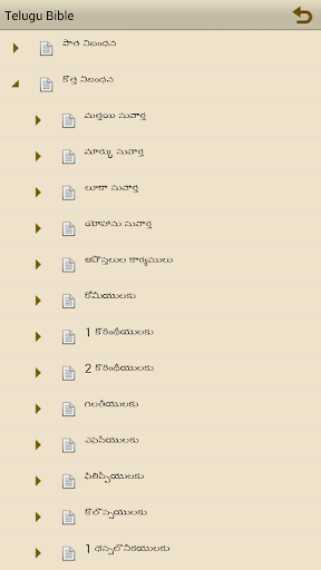 【免費書籍App】Telugu Holy Bible-APP點子