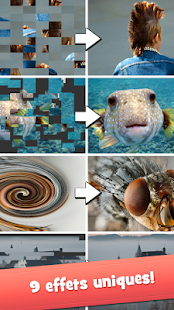 Eye Know: Quiz avec Images(圖5)-速報App