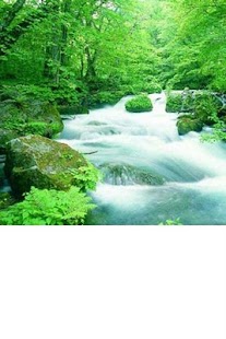 Download Relaxing Sounds APK