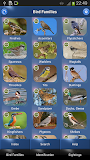 Bird Id - British Birds