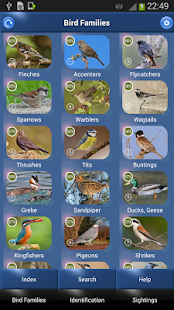 Bird Id - British Birds(圖1)-速報App