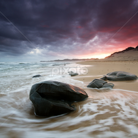 Stick eating monster by Bruce Meaker - Landscapes Sunsets & Sunrises