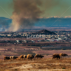 by Stefan Stefanov - Landscapes Prairies, Meadows & Fields
