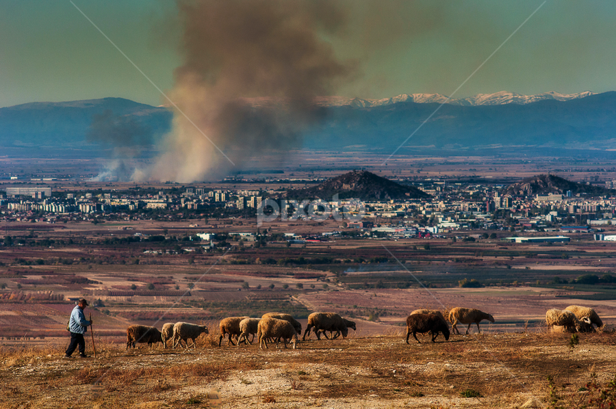 by Stefan Stefanov - Landscapes Prairies, Meadows & Fields
