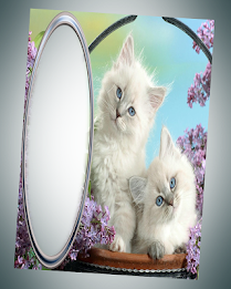 photo frames cat pic frames poster 4