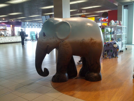 We Save Elephants Gallery