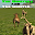 The Hunters And The Hunted Download on Windows