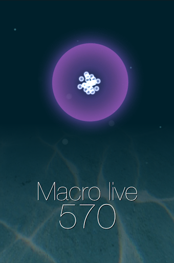 Macro live