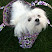 User profile picture thumbnail