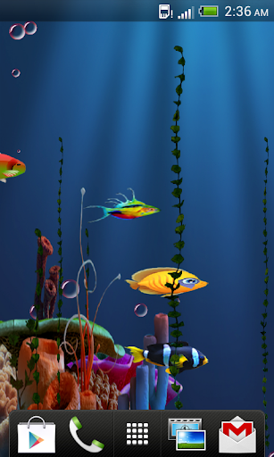 Live Fish Feed Wallpaper