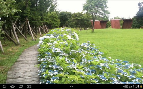 Free JeJu Pictures APK for Android