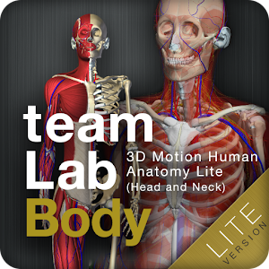 teamLabBody Lite logo