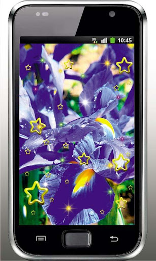Irises HD live wallpaper