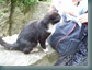 DSCN1464