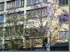 DSCN1938