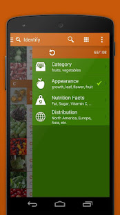 Exotic Fruits & Vegetables 2 L(圖6)-速報App